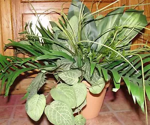 Gran sala Plantas verdes en maceta Arreglos de seda Oficina Den Hotel Macetas de barro - Imagen 1 de 2