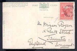 Australia / Tasmania - 1905 Emu River Postcard to England