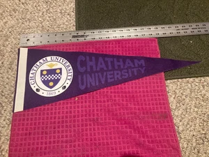 CHATHAM UNIVERSITY Pennant BANNER Pittsburgh PA Pennsylvania COUGARS - Ship Fast - Picture 1 of 4