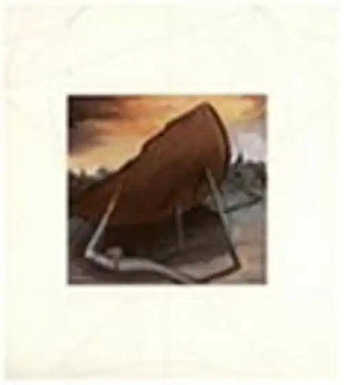 Sting - Soul Cages - Bild 1 von 1