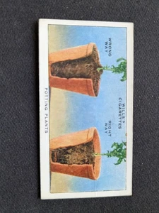 1938 Wills Garden Hints Card # 48 Potting Plants (EX) - Picture 1 of 3