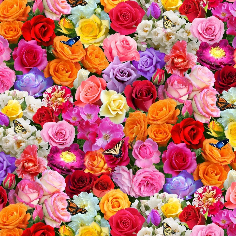 Elizabeths Studio - Ráfaga de color - Rosas - Multi - 663E-MULTI, tela por comprar Foto 1 de 2