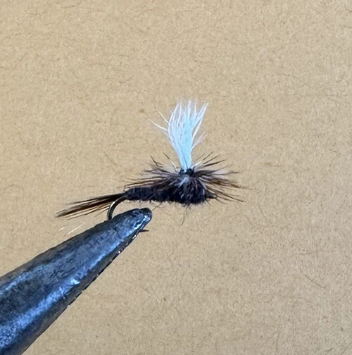 RIO Parachute Adams (Calf) Dry Fly 12 Count - Fly Fishing Size 20 - Image 1 of 4