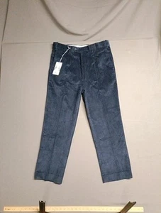 Peter Christian Pants Men's 34x27 Navy Blue Pleated County Corduroy Trousers NWT - Picture 1 of 12