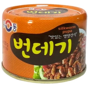 YOODONG Seidenraupe Puppe Dosenfutter 130g (123,5kcal) x 5 Dosen für Soju Bier - Bild 1 von 12