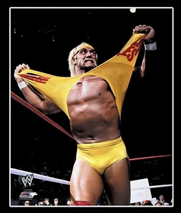 WWE HULK HOGAN CON LICENCIA OFICIAL 8X10 FOTO DE LUCHA LIBRE ORIGINAL ARCHIVO DE FOTO 3 - Imagen 1 de 1