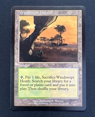 Windswept Heath - Onslaught - LP MTG - Image 1 of 2