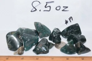 Wunderschöne durchscheinende blaugrüne Moosachate 8,5 Unzen (#17) 12 Steine - Bild 1 von 9