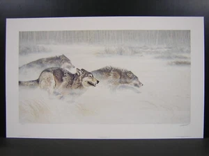 Guy Coheleach 30 Yards & Closing Fast Wolfpack limitierte Auflage Wildlife Kunstdruck - Bild 1 von 2