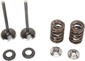 Moose Exhaust Valve/Spring Kit fits Suzuki LT-R450 Quad Racer 2006-2009 - Picture 1 of 1