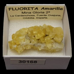 FLUORITA Amarilla (Mina Gloria 2ª, La Cardenchosa, Cordoba) #30168 / Fluorite - Picture 1 of 1