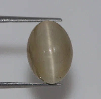 CERTIFIED Natural Green Cat’s Eye Chrysoberyl 7.36 Ct Translucent Loose Gemstone - Image 1 of 4