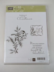 Stampin' Up HERMOSA TEMPORADA Caja Original Navidad #122682 - Imagen 1 de 7