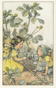 Postal de hadas de flores negras medicinales (139788) - Imagen 1 de 2