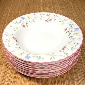 Cuencos de sopa con borde Johnson Brothers SUMMER CHINTZ 81/2" (lote de 8) *COMO NUEVOS - LEER* - Imagen 1 de 1