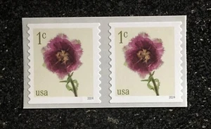 2024USA #5902 1c Fringed Tulips - Coil Pair Mint NH flower - Picture 1 of 1