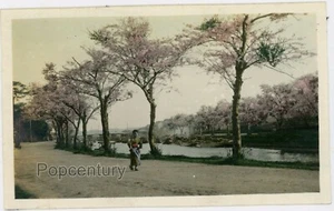 Fotografía De Colección Años 1910 Japón Flores del Río Yokohama Foto Aguda Coloreada a Mano - Imagen 1 de 2