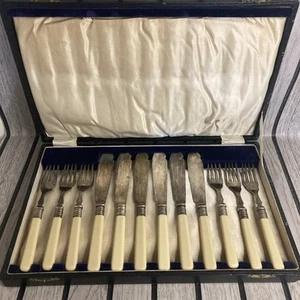 Vintage EPNS 12-teiliges Besteckset mit Kunstknochengriff verpackt Retro - Bild 1 von 5