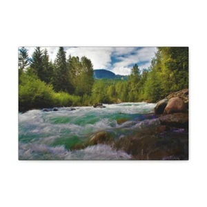 Water and Forest - Picture 1 of 8