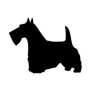 Scottish Terrier Vinyl Aufkleber Auto Fenster Laptop Hund Silhouette Aufkleber - Bild 1 von 11