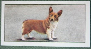 WELSH CORGI Pembroke Vintage 1960's Illustrated Dog Card CE10 - Picture 1 of 2