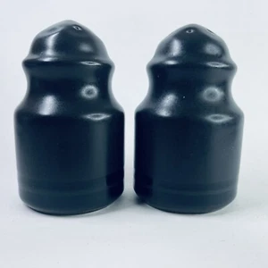 Pfaltzgraff Midnight Sun Black Salt & Pepper Shakers Excellent Vintage Nice Set - Picture 1 of 6