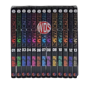 Black Lagoon Manga Versione Inglese Fumetto Rei Hiroe Volume 1-13 Set - Foto 1 di 16