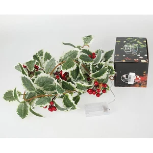 5.9ft Christmas Red Fruit Fairy String Light 20 LED String Lights with Red stZxB - Picture 1 of 10