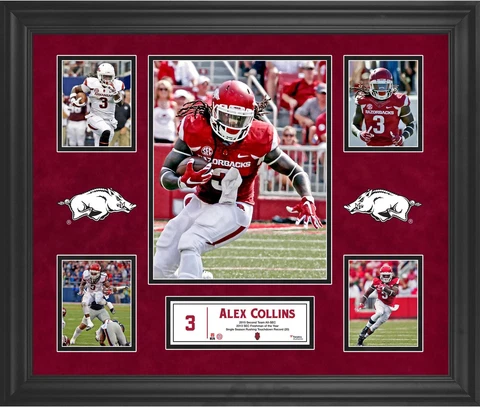 Alex Collins Arkansas Razorbacks Framed 23' x 27' 5-Photo Collage Cover