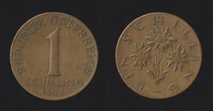 ÖSTERREICH 1 SCHILLING 1963 EDELWEISS BLUME - KM # 2886 - Bild 1 von 1