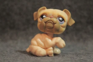 Authentische Littlest Pet Shop LPS hellbraune Bulldogge lila Augen #136 - Bild 1 von 3