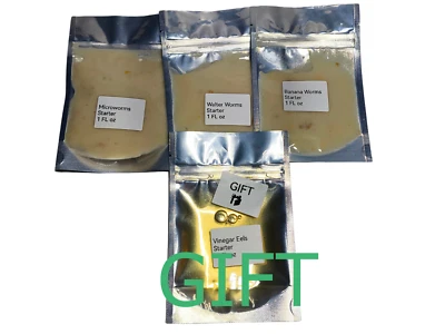 Alimento para freír Live Microworms, Walter and Banana Worms Culture starter 1 fl oz Foto 1 de 4