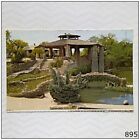 Sunken Gardens San Antonio Texas 1977 Postcard (P895)