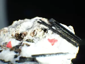 RARE BEST HORVATHITE Crystals Fine Mineral Specimen Mont Saint Hilaire, CANADA - Bild 1 von 7