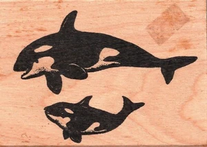 Stamp Affair ~ KILLER WHALE FAMILY ~ Wood Mounted Rubber Stamp Nature Animals - Bild 1 von 1