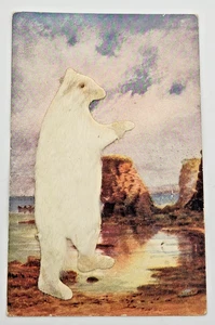 Antique Polar Bear w/Real White Fur Postcard -England -Osborne LTD -Posted - Picture 1 of 9