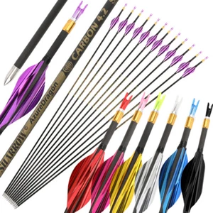 31" Pure Carbon Arrows SP700-1000 Spiral Vanes ID4.2 Recurve CompoundBow Hunting - Bild 1 von 44