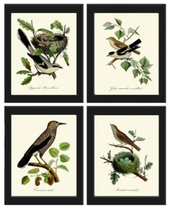 Vintage Bird Nest Wall Art Prints Set of 4 Beautiful Antique Trees Unframed - Picture 1 of 8
