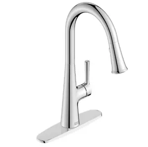 American Standard 7441300.002 Southport Pull-Down Kitchen Faucet - Picture 1 of 4
