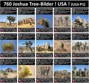 760 Lizenzfreie Profi-Bilder Joshua Tree Nationalpark USA Royalty Free 3 DVDs! - Bild 1 von 16