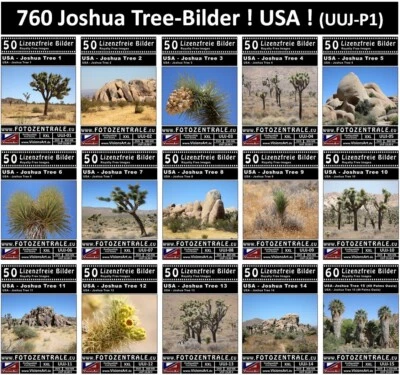 760 Lizenzfreie Profi-Bilder Joshua Tree Nationalpark USA Royalty Free 3 DVDs! - Bild 1 von 4