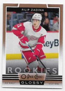 19/20 O-PEE-CHEE GLOSSY ROOKIES COPPER Hockey (#R1-R10) U-Pick From List - Picture 1 of 5