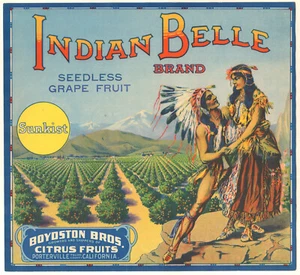 *Original* INDIAN BELLE Tulare Porterville Grapefruit Crate Label NOT A COPY! - Picture 1 of 1