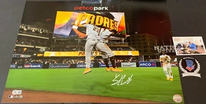 Trent Grisham Padres handsigniertes 16x20 Foto Beckett ZEUGE Hologramm Tatis - Bild 1 von 1