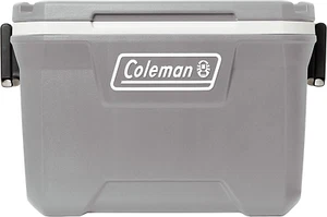 316 Series Insulated Portable Cooler with Heavy Duty Handles, Leak-Proof Outdoor - Picture 1 of 12
