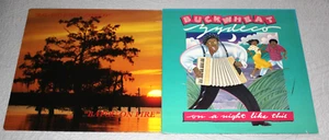 Buchweizen Zydeco - On A Night Like This / R.G. & Bayou Zydeco-On Fire (2 x LP Lot) - Bild 1 von 2