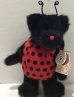 Boyds Bears LADY B. BUG Ladybug Black Bear 10-inch Retired w/ Tags