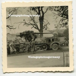 D1438 Foto Frankreich WH 12to Halbkette SdKfz 8 Bunkerknacker 8,8cm Flak Panzer - Bild 1 von 3