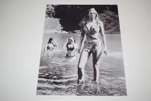 Raquel Welch pinup 8x10 glossy photo One Million Years B.C. busty sexy 1791 - Picture 1 of 1