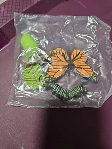 Butterfly Life Cycle Model of Nature Children's Model of - Picture 1 of 3